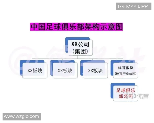 武汉足球队技术对比深度解析与未来发展趋势展望